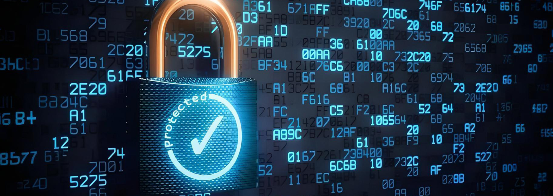 網絡安全、資料備份方案